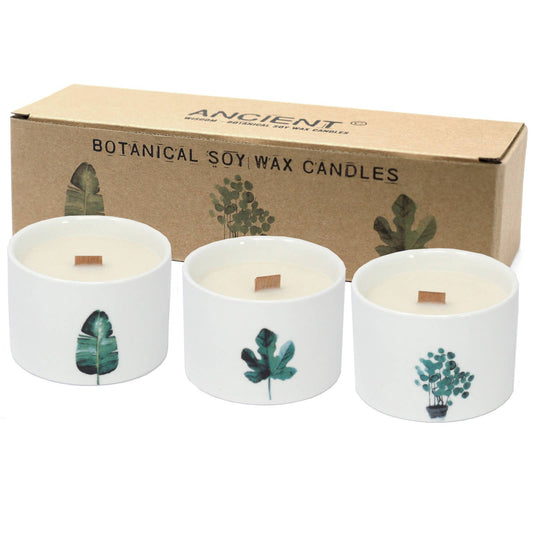 BotC-02 - Med Botanical Candles - Mullberry Harvest