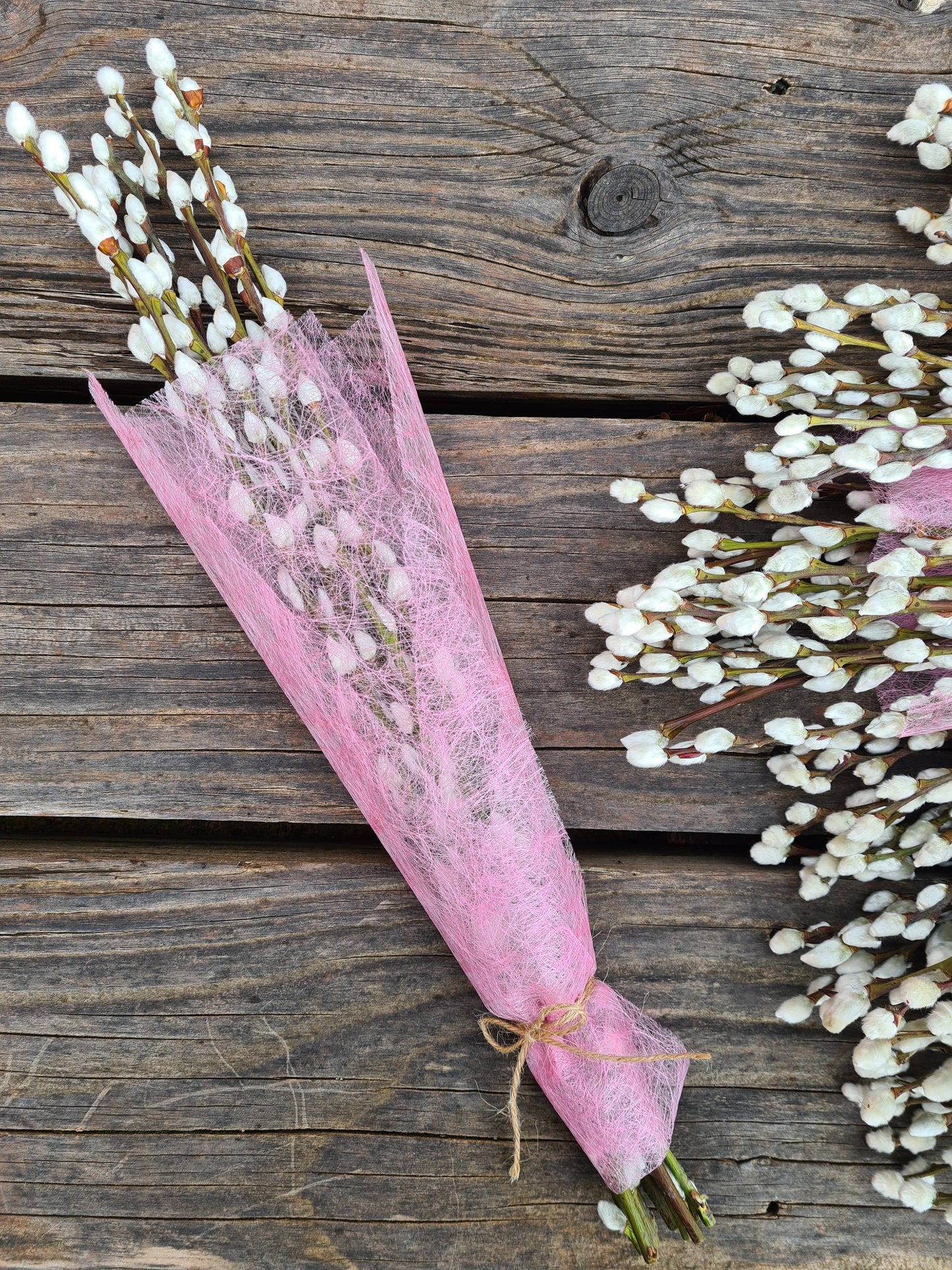 Pussy Willow Bunch, Catkins, Salix Branches