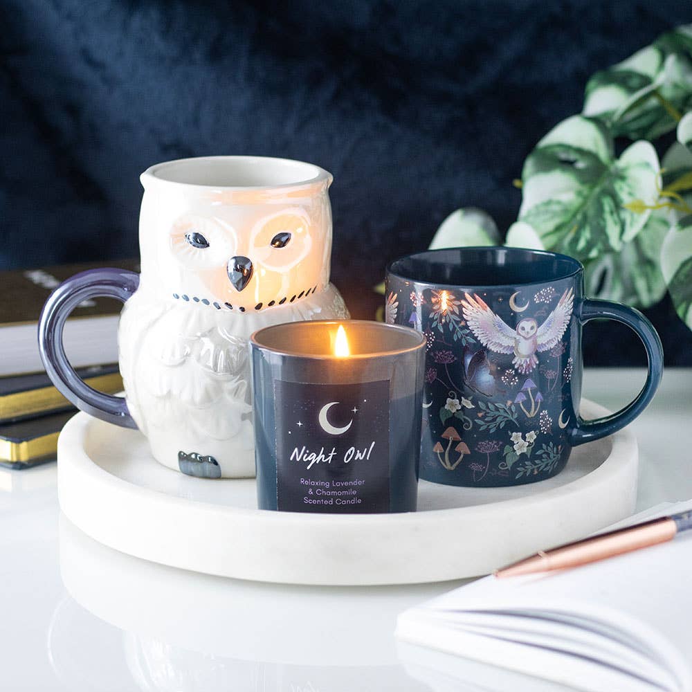 Night Flight Owl Print Mug