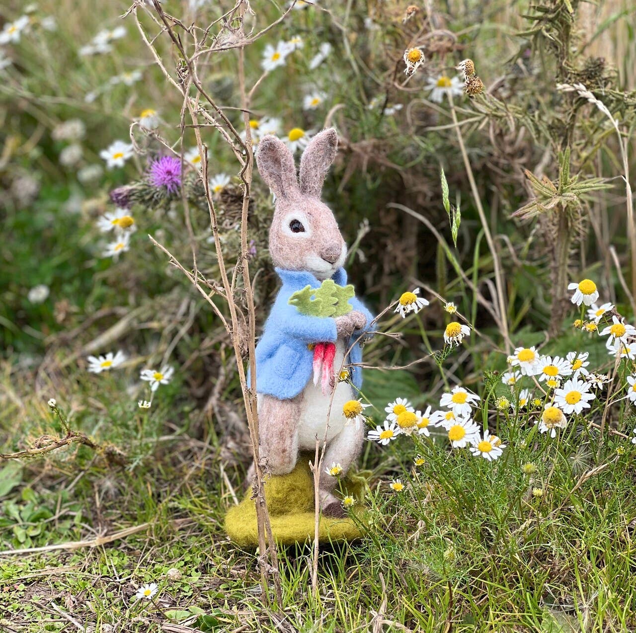 Beatrix Potter - Peter Rabbit and the Stolen Radishes