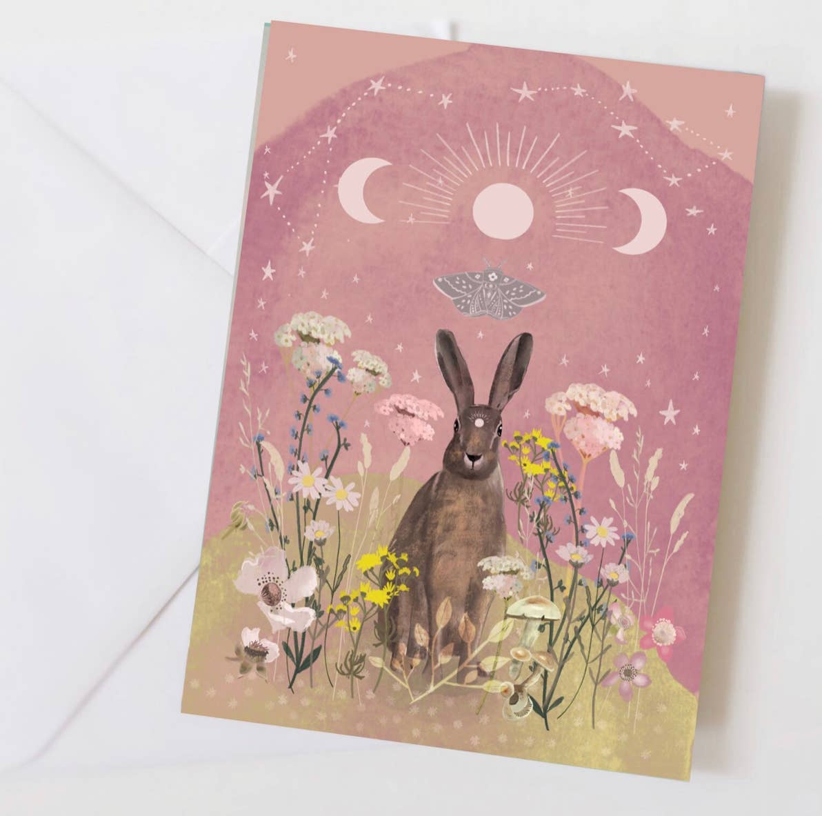 Wildflowers hare